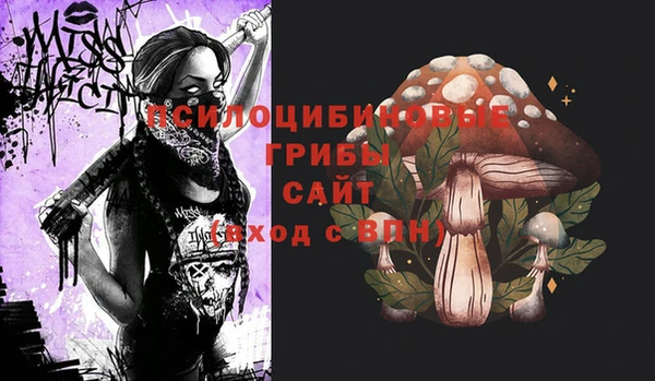прущие крисы Богородск