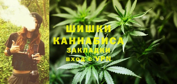 каннабис Богданович