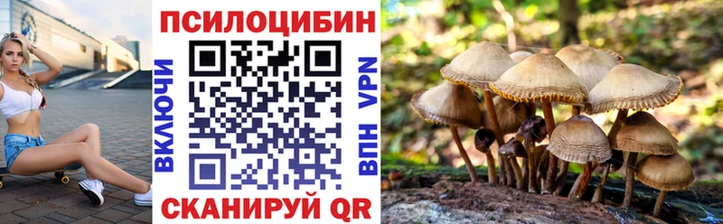 наркота  Дигора  Галлюциногенные грибы прущие грибы 
